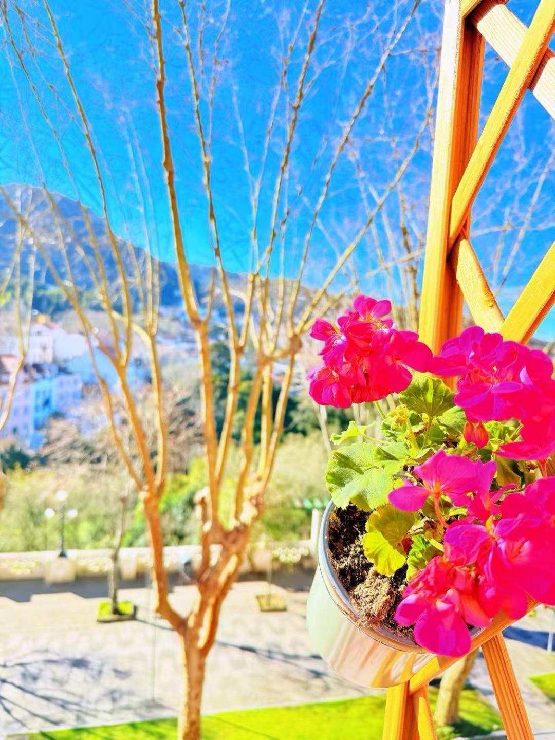 Happy Sintra Inn Εξωτερικό φωτογραφία
